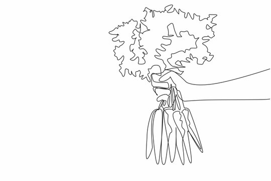 Single one line drawing hand holding several carrots with very thick leaf tips. Carrot farmers get the desired results. Healthy. International Carrot Day. Continuous line design graphic illustration - Powered by Adobe