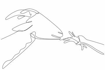 Obraz premium Continuous one line drawing hand of children feeding grass to goats. Long horn. Beloved pets. Can produce healthy pure milk. National Farm Animals Day. Single line draw design vector illustration