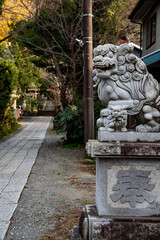 Fototapeta premium 鎌倉2412 五所神社7
