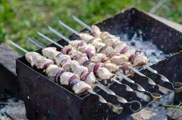 Chicken and Onion Skewers Grilling Over Charcoal