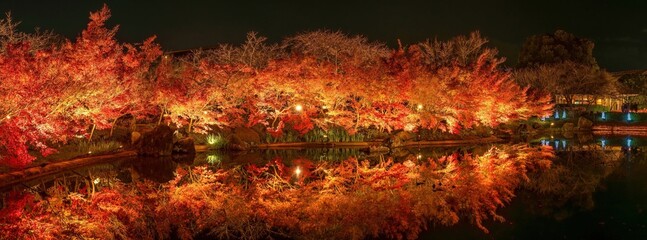 ライトアップに照らされて真っ赤に染まるモミジの紅葉のパノラマ情景