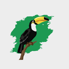 hornbill bird perched on a br...