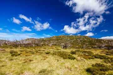 Porcupine Rocks Walk in Australia