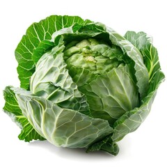 Obraz premium Clean, green cabbage head with layers revealing inner structure.