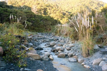 Putangirua Stream Bed - Scenic New Zealand Riverbed