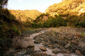 Obraz premium Putangirua Stream Bed - Scenic New Zealand Riverbed