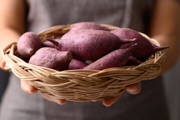 Raw purple sweet potatoes from local farmer market in basket holding by hand
