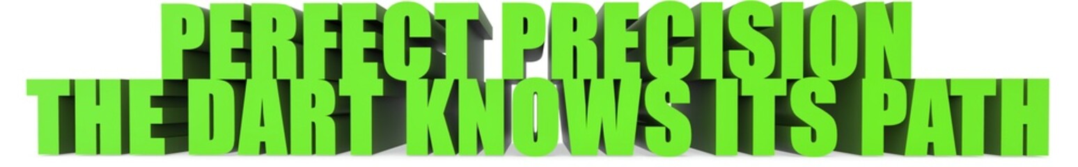 Perfect Precision The Dart Knows Its Path, 3d text