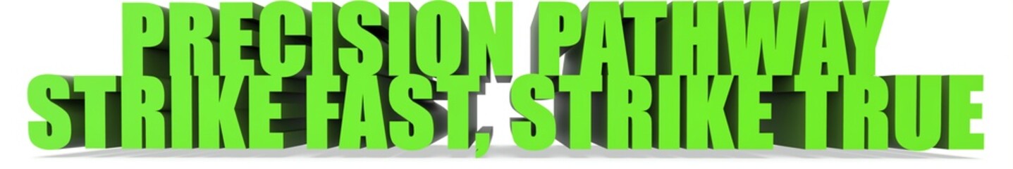 Fototapeta premium Precision Pathway Strike Fast Strike True, 3d text