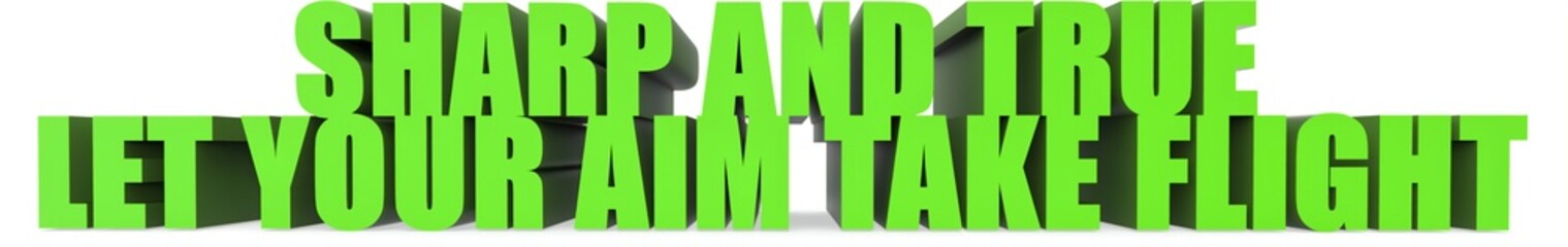 Sharp and True Let Your Aim Take Flight, 3d text
