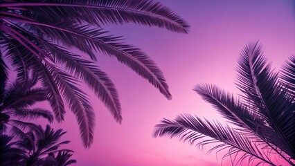Silhouettes of Palm Fronds Against a Vibrant Pink Sunset Sky