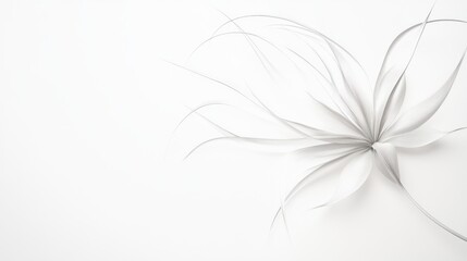 Delicate Gray Plant Branch on White Background