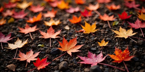 Autumnal Leaves Scattered on Dark Pebbles A Colorful Fall Scene
