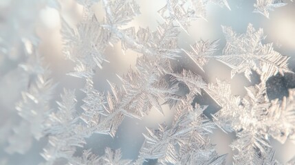 Winter's Delicate Embrace: A Close-Up of Frost Patterns on a Window Pane