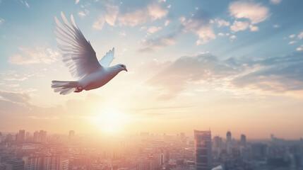 dove flying over a city, the city realistic, but the dove and its path are illustrated, symbolizing peace and freedom