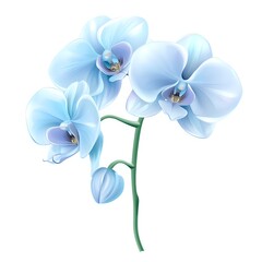 Naklejka premium Blue Orchids: Elegant Flowers Bloom Beautifully in Serenity