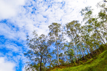 Amazing Ella Rock with Lush Green Mountains, Majestic Waterfalls, and the Stunning Natural Beauty of Paradise in Sri Lanka