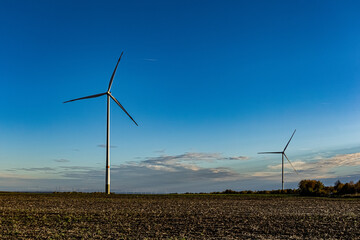 wind turbines in the field