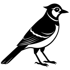 Obraz premium Blue Jay Silhouette vector illustration
