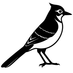 Blue Jay Silhouette vector illustration
