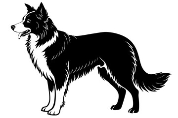 Border Collie Silhouette vector illustration