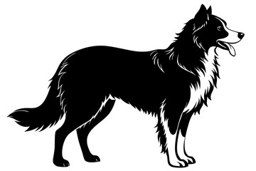 Border Collie Silhouette vector illustration