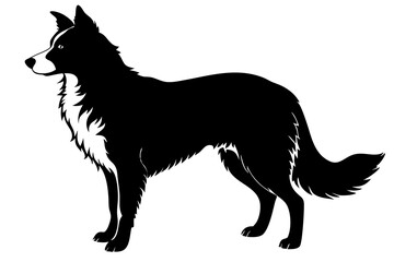 Border Collie Silhouette vector illustration