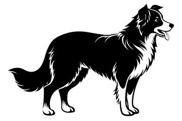 Border Collie Silhouette vector illustration