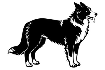 Border Collie Silhouette vector illustration