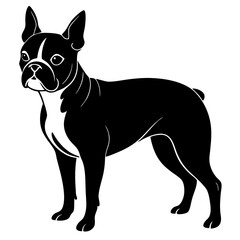 Boston Terrier Silhouette vector illustration