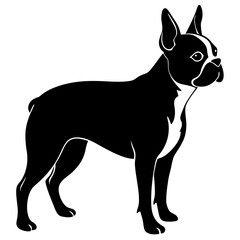 Boston Terrier Silhouette vector illustration