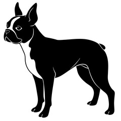 Boston Terrier Silhouette vector illustration