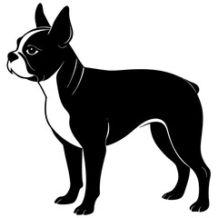 Boston Terrier Silhouette vector illustration