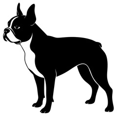 Boston Terrier Silhouette vector illustration