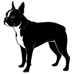Boston Terrier Silhouette vector illustration