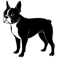Boston Terrier Silhouette vector illustration