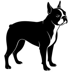 Boston Terrier Silhouette vector illustration