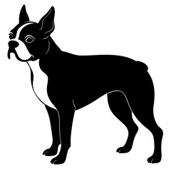 Boston Terrier Silhouette vector illustration