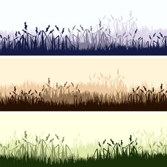 Meadow silhouettes with grass, plants on plain. Panoramic summer lawn landscape with herbs, various weeds. Herbal border, frame. Nature background. Green horizontal banner. Vector illustration