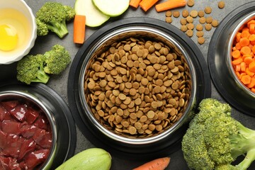 Dry pet food and natural products on grey table, top view