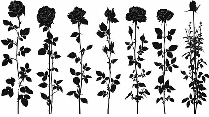 Rose Silhouettes Bloom Elegantly with Leaves