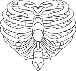 rib heart shaped lineart png