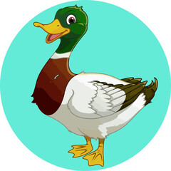 duck in a field