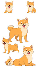 Happy Shiba Inu Dog Collection Isolated PNG