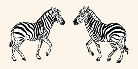 Abstract illustration featuring two monochrome zebra silhouettes vector