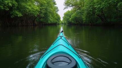 Fototapeta premium Serene Kayaking Adventure Through Lush Green Forested River