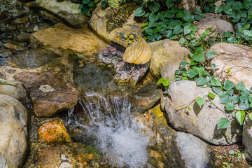 A small waterfall flows over rocks surrounded by green foliage in a natural setting.