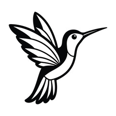 hummingbird illustrations