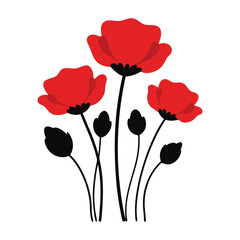 poppies on white background