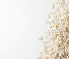 Obraz premium Rice grains